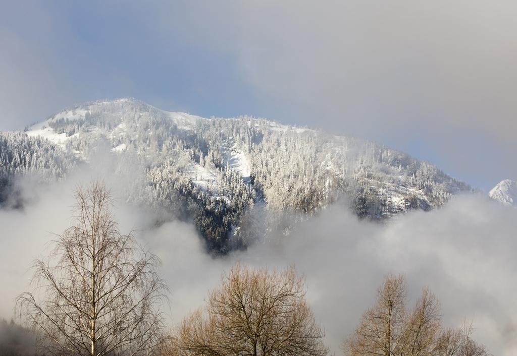 Apartmenthaus Berdnik Kotschach-Mauthen Exteriér fotografie