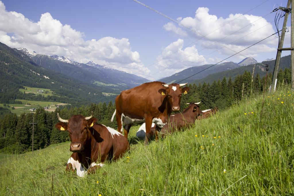Apartmenthaus Berdnik Kotschach-Mauthen Exteriér fotografie